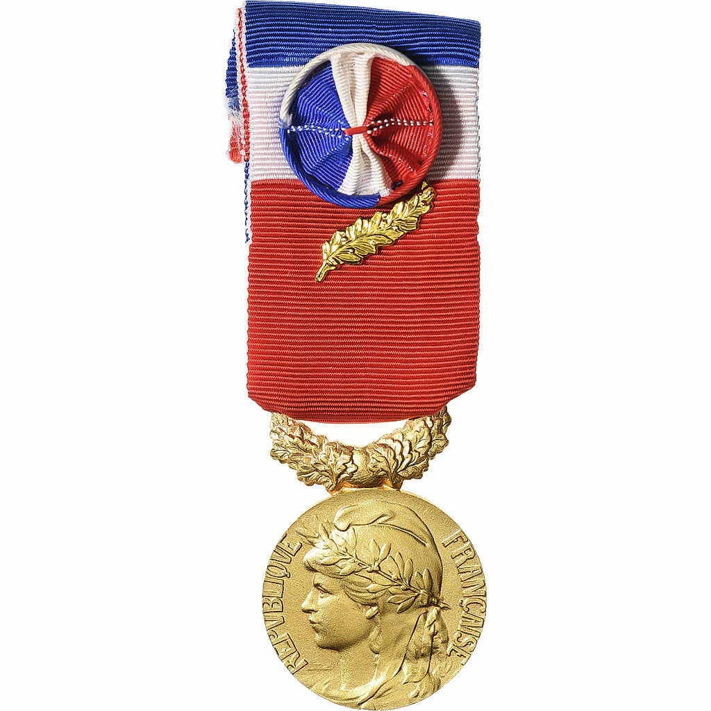 França, Honneur-Travail, République Française, medalha, 1989, Palme, Não