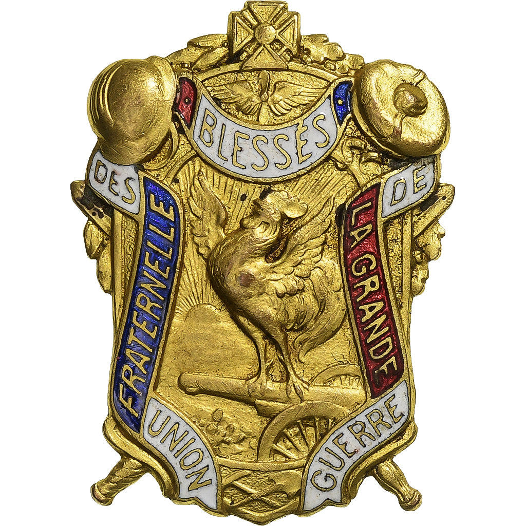 Francia, Broche, Union Fraternelle des Blessés de la Grande Guerre, Bronzo
