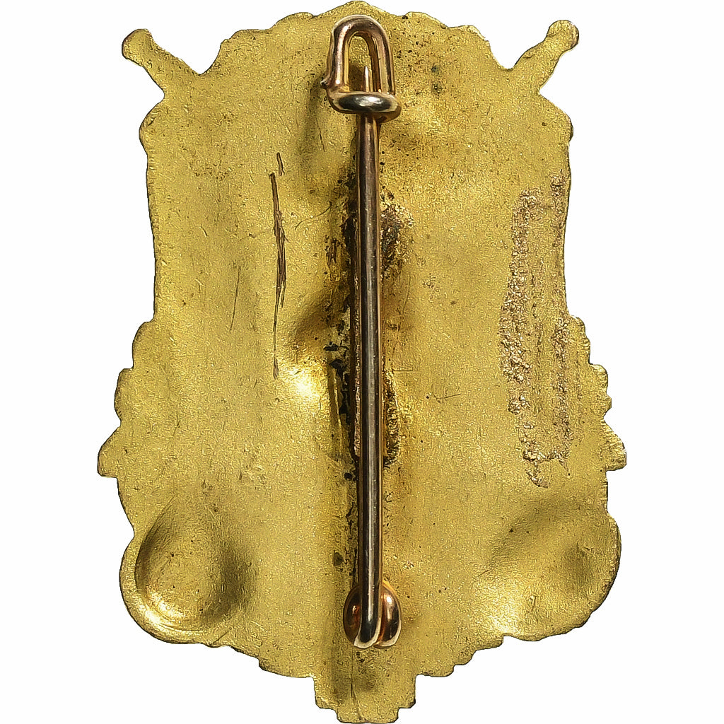 Francia, Broche, Union Fraternelle des Blessés de la Grande Guerre, Bronzo