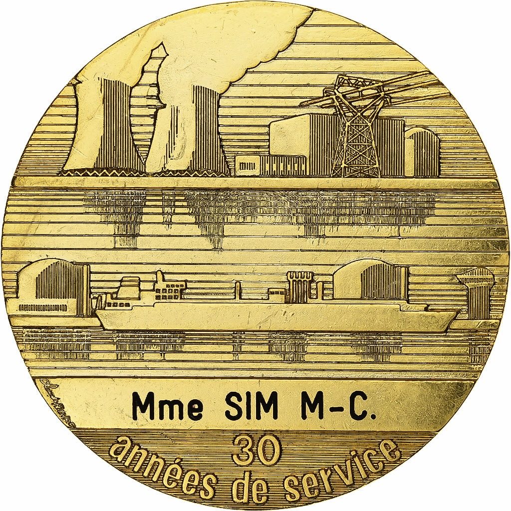 Francia, medaglia, Electricité-Gaz de France, Bronzo dorato, SPL-