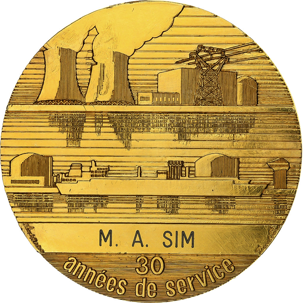 Francia, medaglia, Electricité-Gaz de France, Bronzo dorato, SPL-