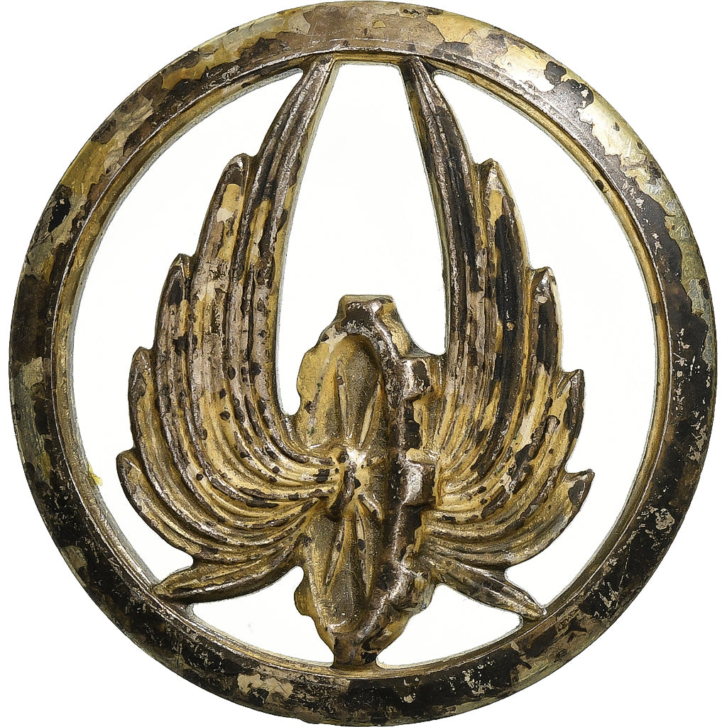 Francja, Insigne de Beret, Régiment du Train, Métal, EF(40-45)