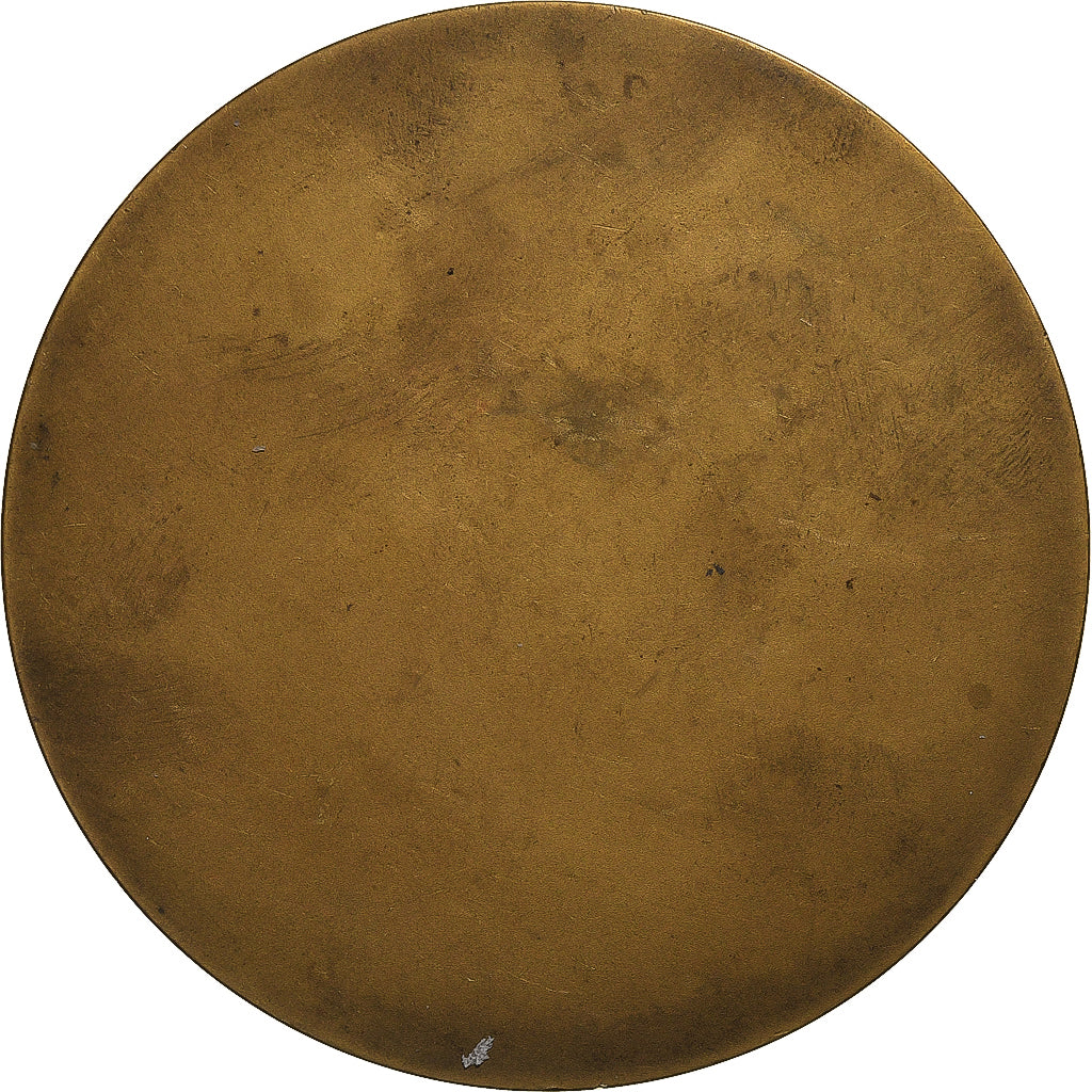 Belgio, medaglia, La Légende d’Ulenspiegel, Charles de Coster, Bronzo, Albert