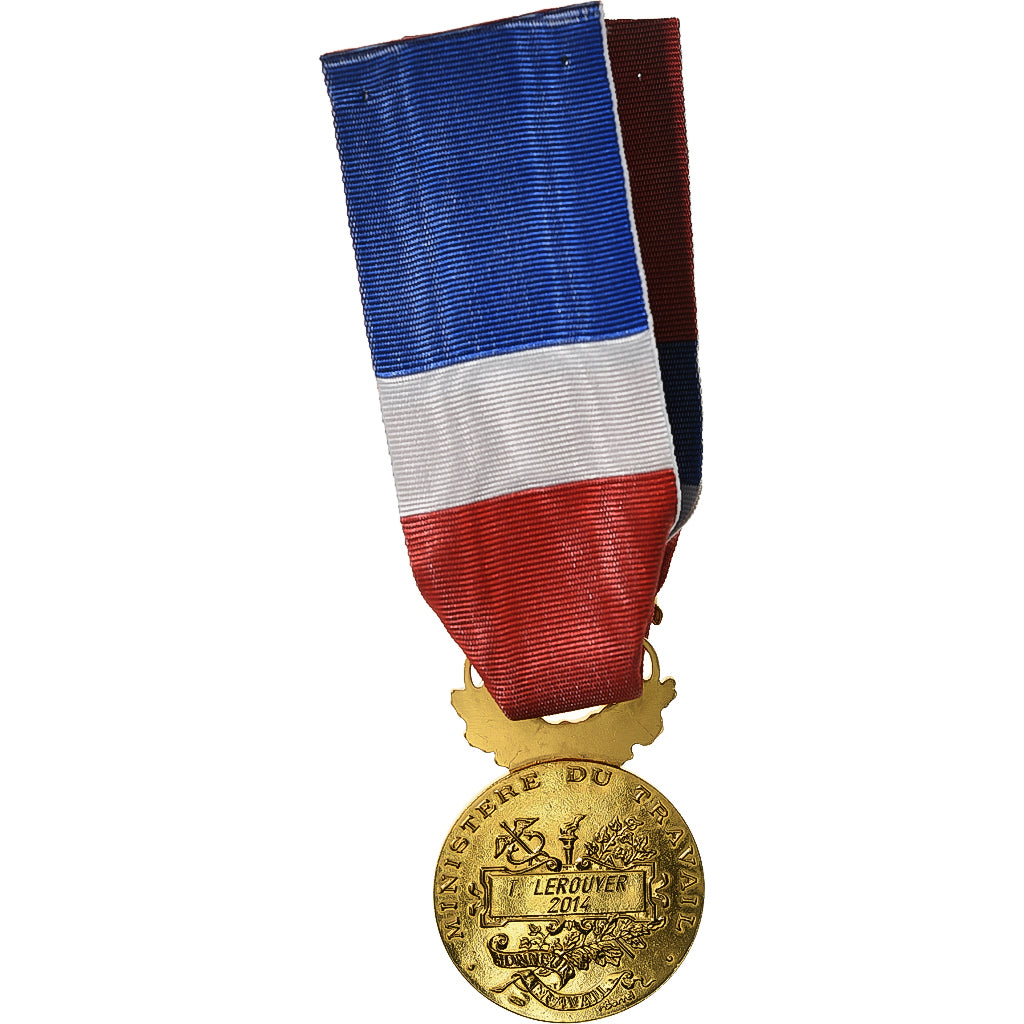 France, Honneur-Travail, République Française, Médaille, 2014, Excellent