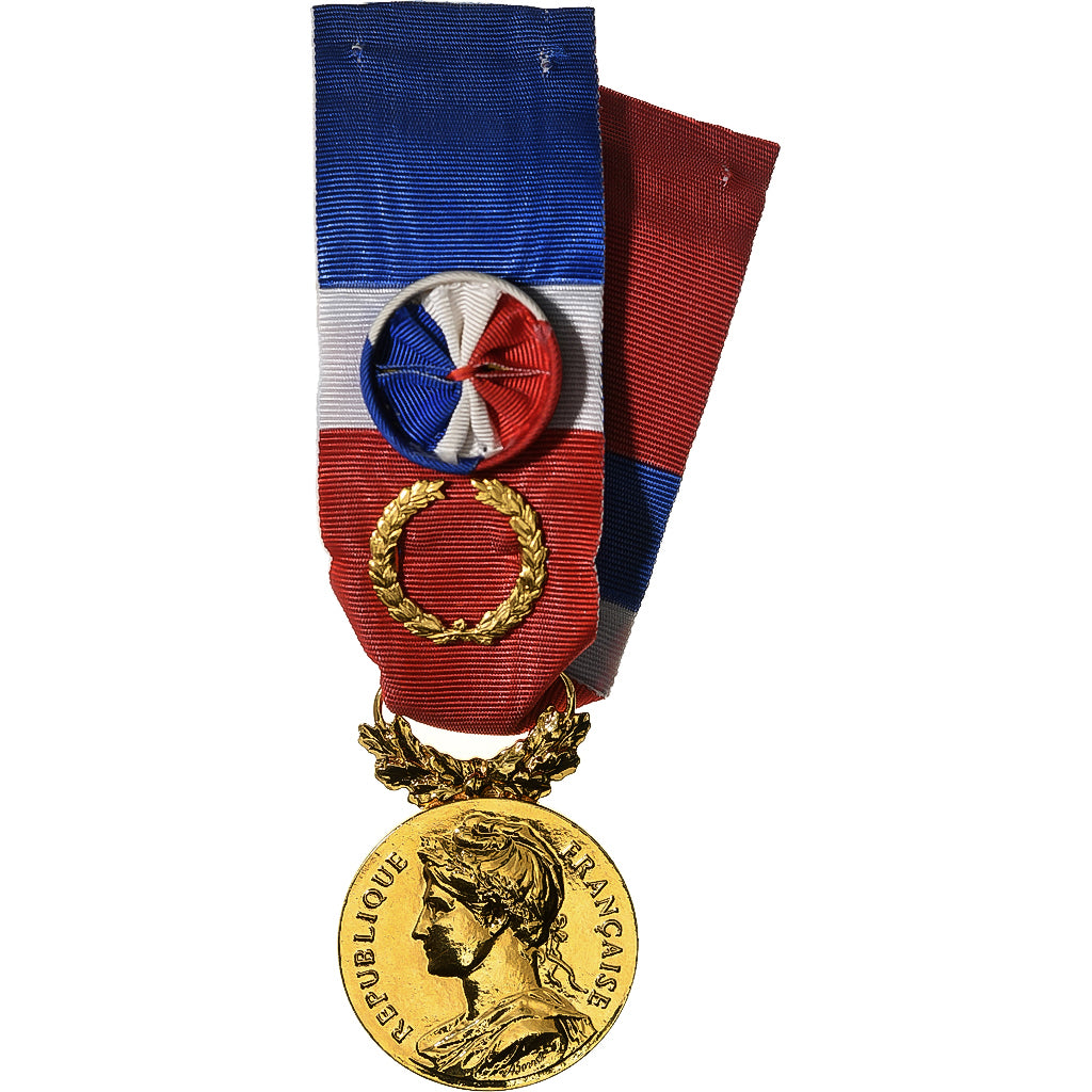 França, Honneur-Travail, République Française, medalha, 2019, Couronne