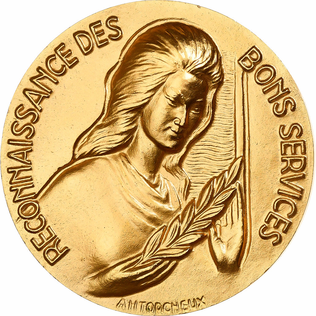 França, medalha, Reconnaissance des Bons Services, 1978, Bronze Dourado