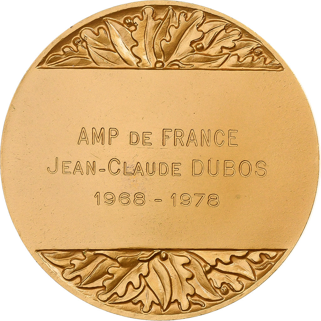 França, medalha, Reconnaissance des Bons Services, 1978, Bronze Dourado