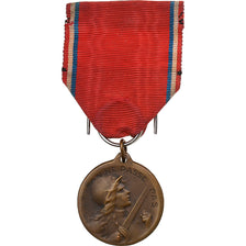 Francia, Verdun , On ne passe pas, WAR, medalla, 1916, Muy buen estado, Vernier