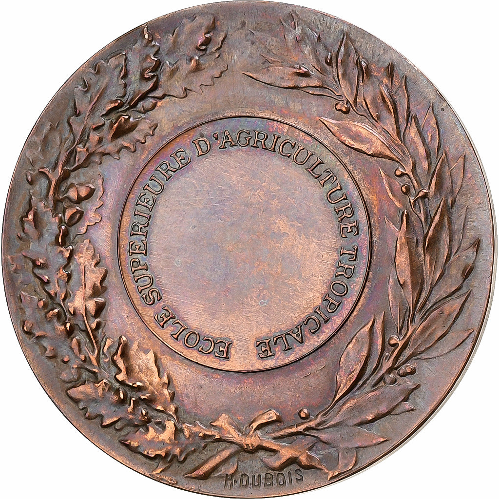 Frankreich, Medaille, Ecole Supérieure d'Agriculture Tropicale, Bronze, Alphée