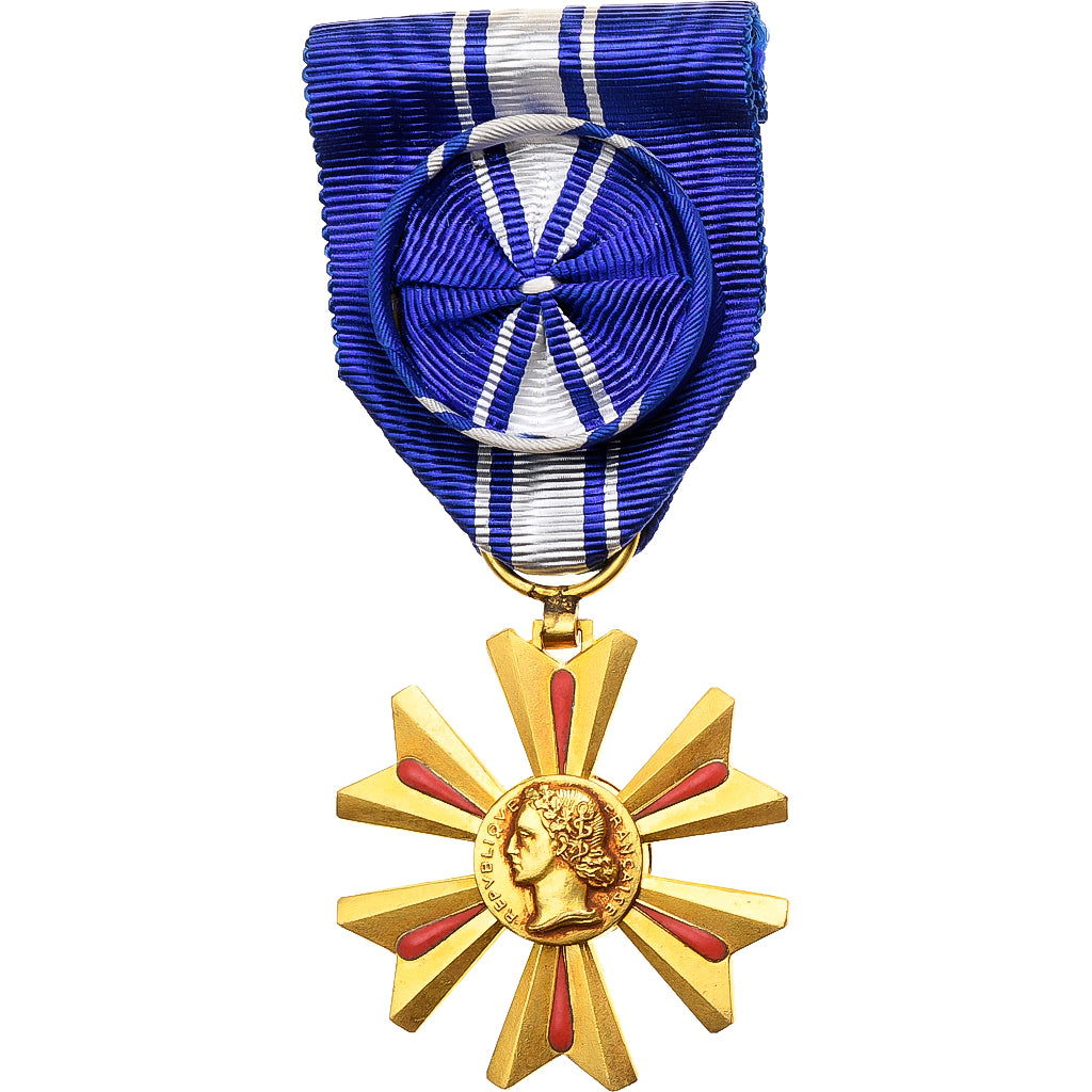 Francia, Mérite du Sang, Croix d'Officier, medaglia, Fuori circolazione, Bronzo