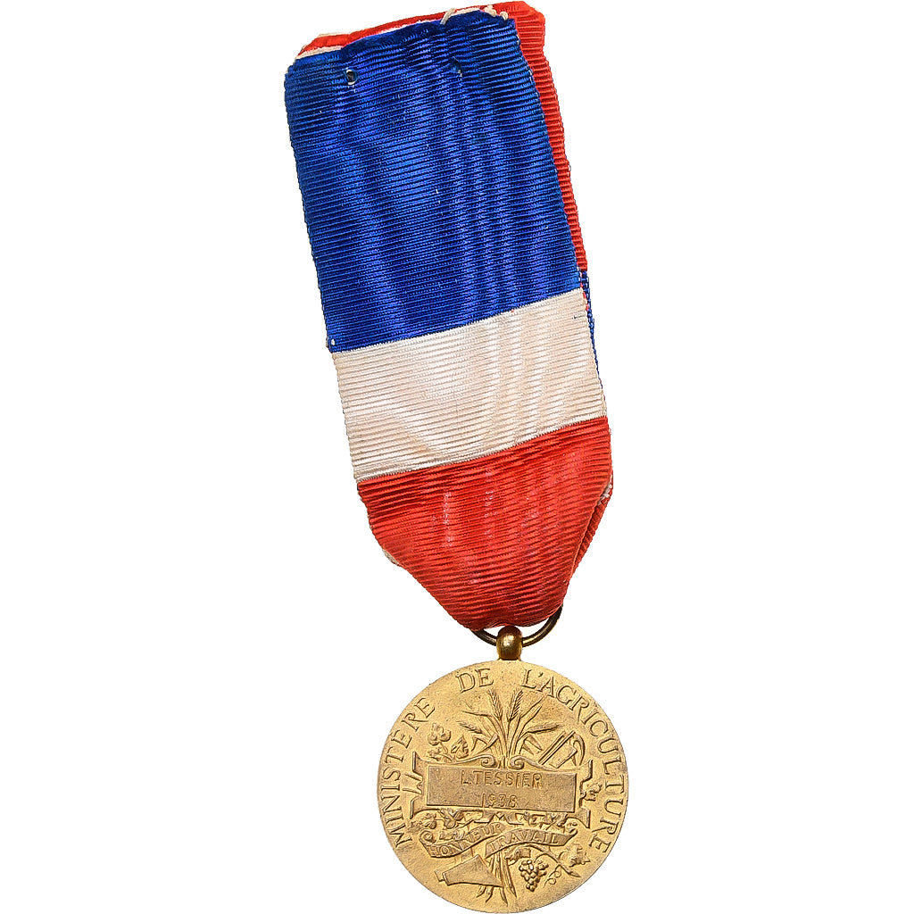 Francja, Ministère de l'Agriculture, Honneur et Travail, medal, 1938, Bardzo