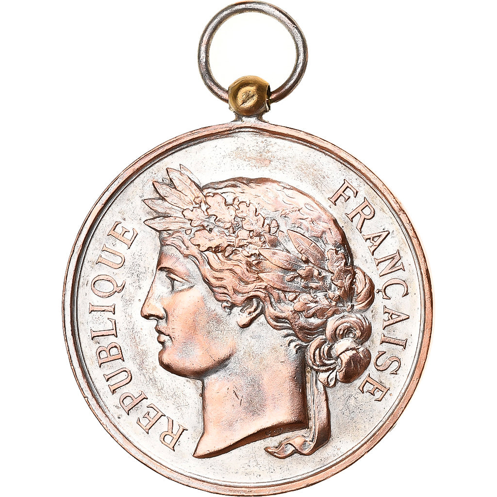 Francja, medal, Société Nationale de Tir des Communes de France, Miedź