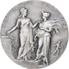 France, Medal, Ministère de l'Agriculture, Associations Agricoles, Silver