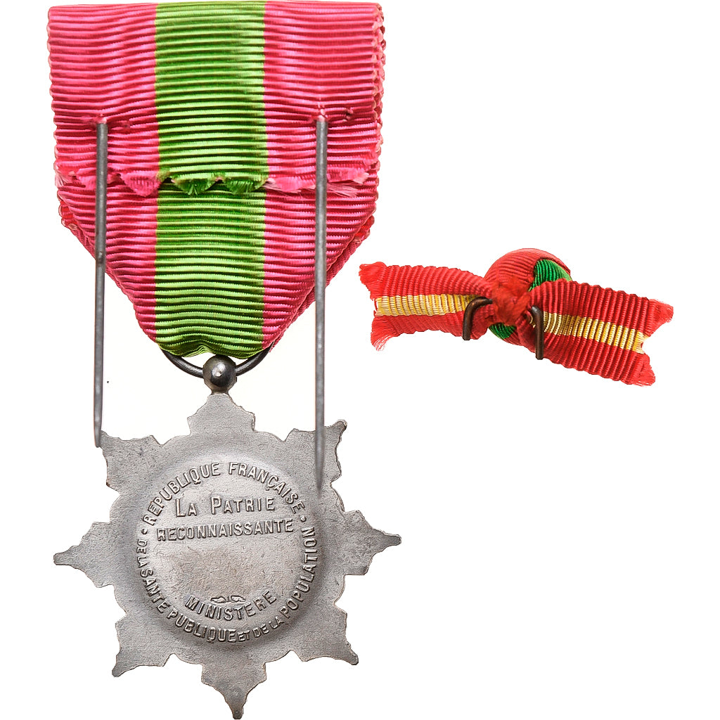 Francia, Médaille de la Famille Française, Social, medaglia, Eccellente