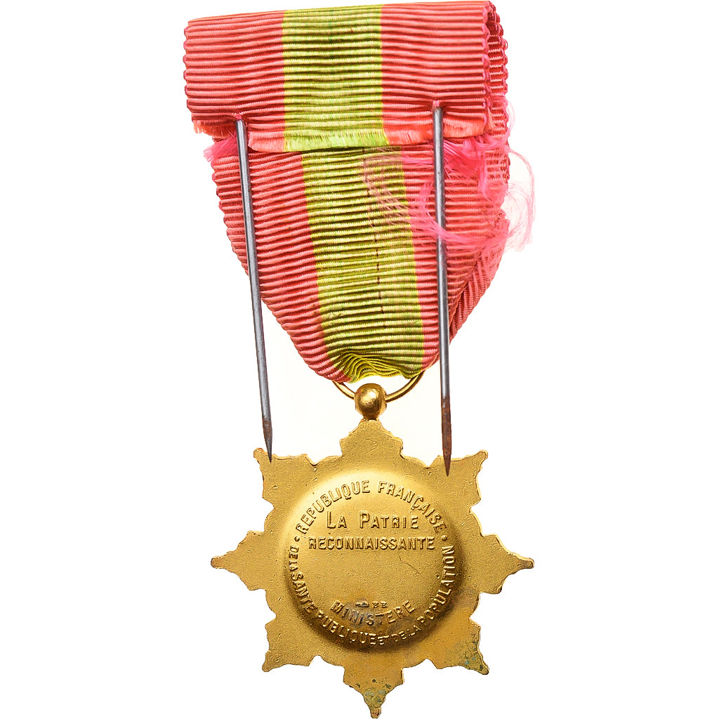 France, Médaille de la Famille Française, Social, Médaille, Excellent