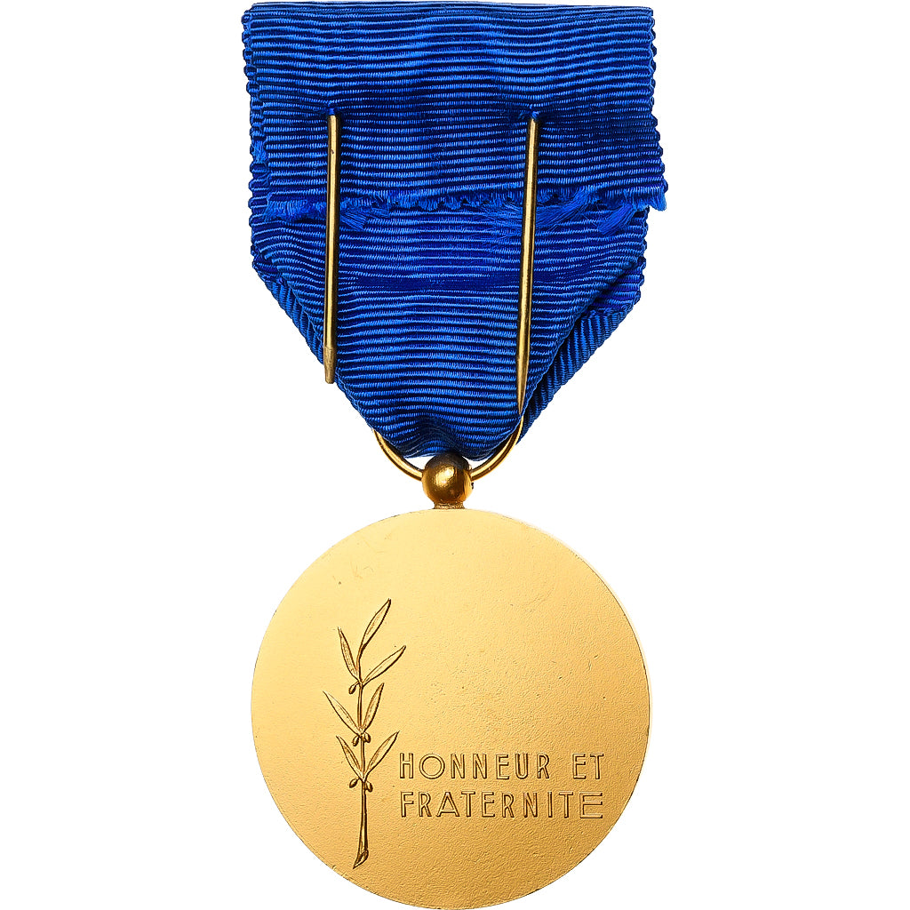 França, Honneur et Fraternité, F.N.D.T, medalha, Não colocada em