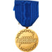 França, Honneur et Fraternité, F.N.D.T, medalha, Não colocada em