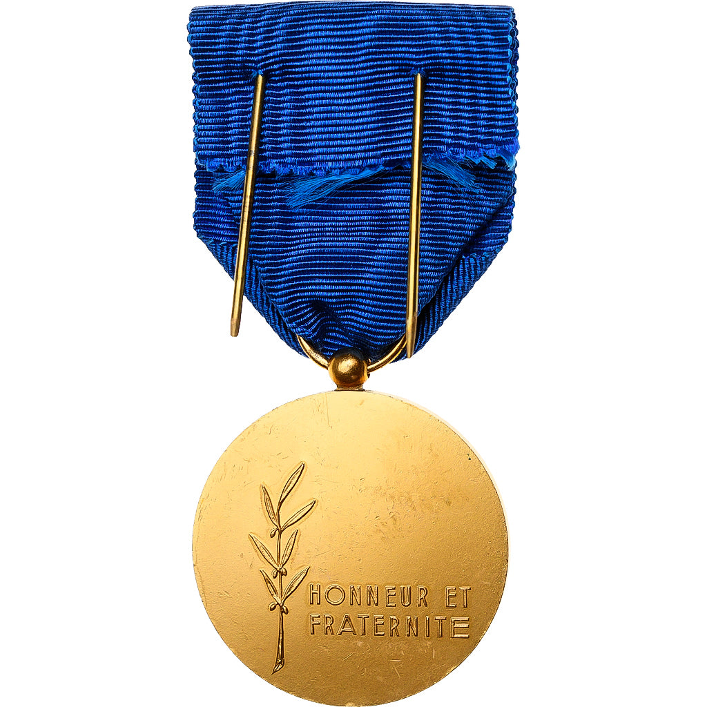 França, Honneur et Fraternité, F.N.D.T, medalha, Não colocada em