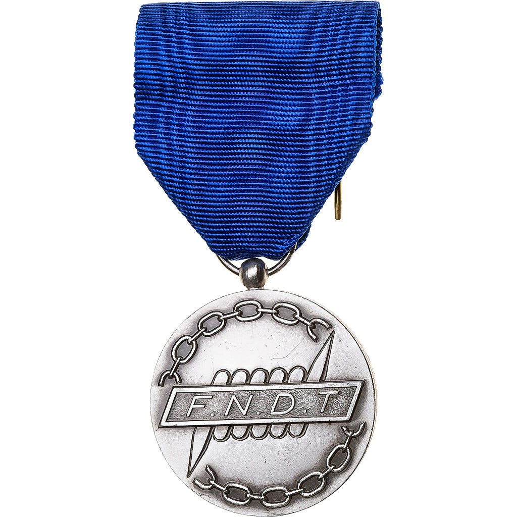 Francia, Honneur et Fraternité, F.N.D.T, medaglia, Fuori circolazione, Bronzo
