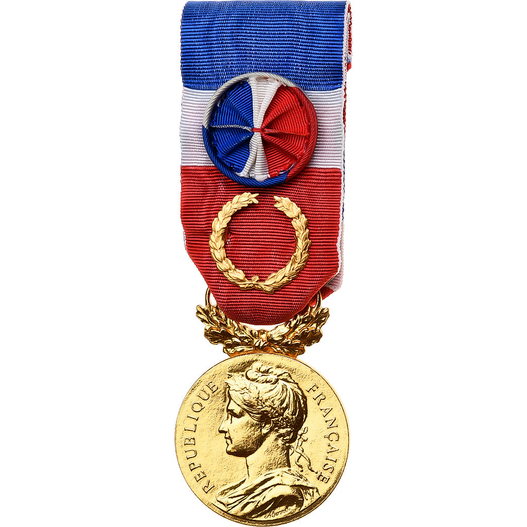 Frankreich, Médaille d'honneur du travail, Medaille, 2007, Couronne, Excellent