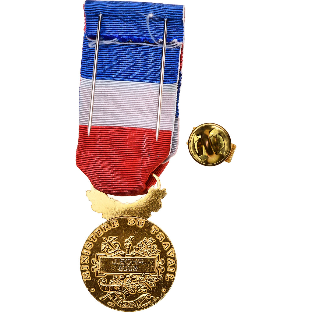 France, Médaille d'honneur du travail, Médaille, 2003, Palme, Excellent