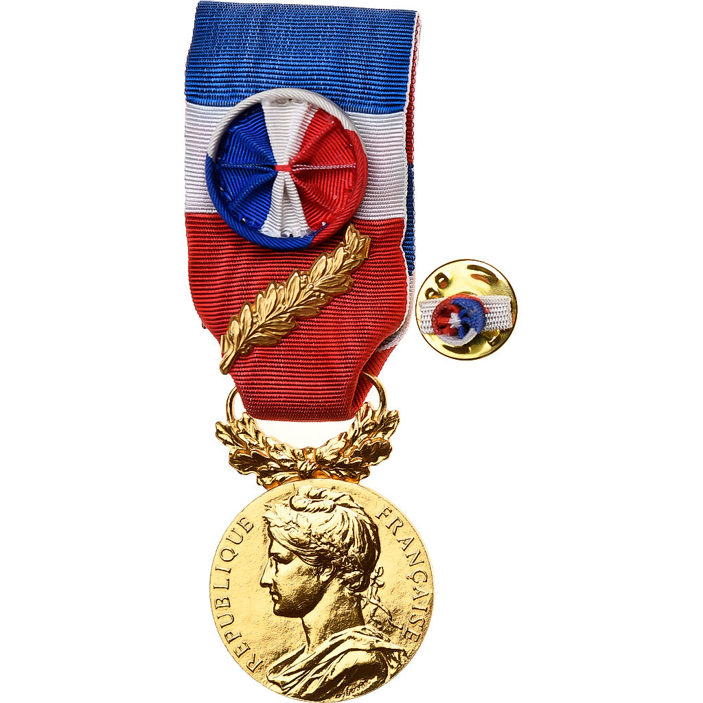 France, Médaille d'honneur du travail, Médaille, 2007, Palme, Excellent
