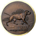 France, Medal, Exposition Canine Internationale de Strasbourg, 1983, Bronze