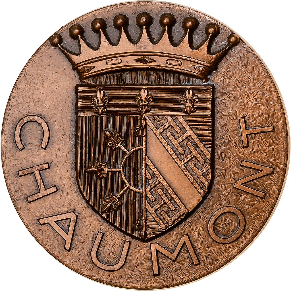 France, Médaille, Ville de Chaumont, 1988, Bronze, SPL, Cadart