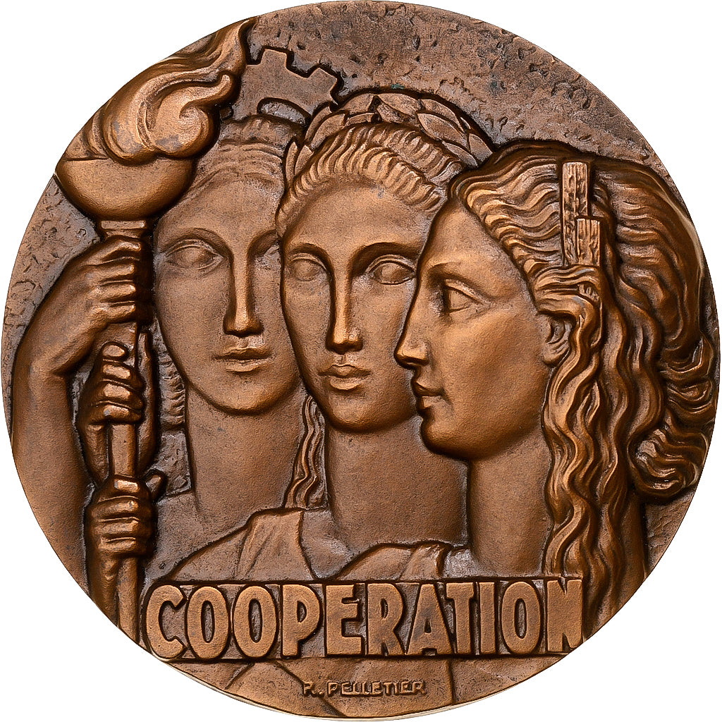 Francia, medaglia, Art Déco, Hommage de la Coopération, Bronzo, Pelletier, SPL