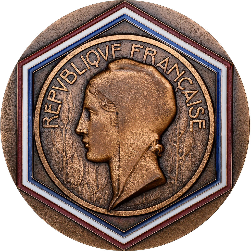 France, Medal, Soirée des Maires de France, Paris, 1987, Bronze, MS(63)