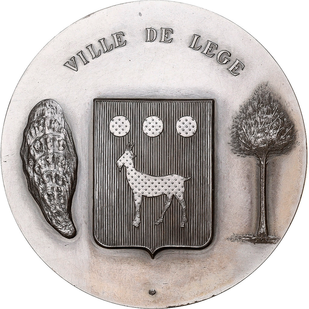 Francia, medalla, Ville de Lège, 1975, Bronce plateado, EBC