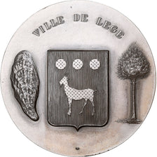 Francia, medalla, Ville de Lège, 1975, Bronce plateado, EBC