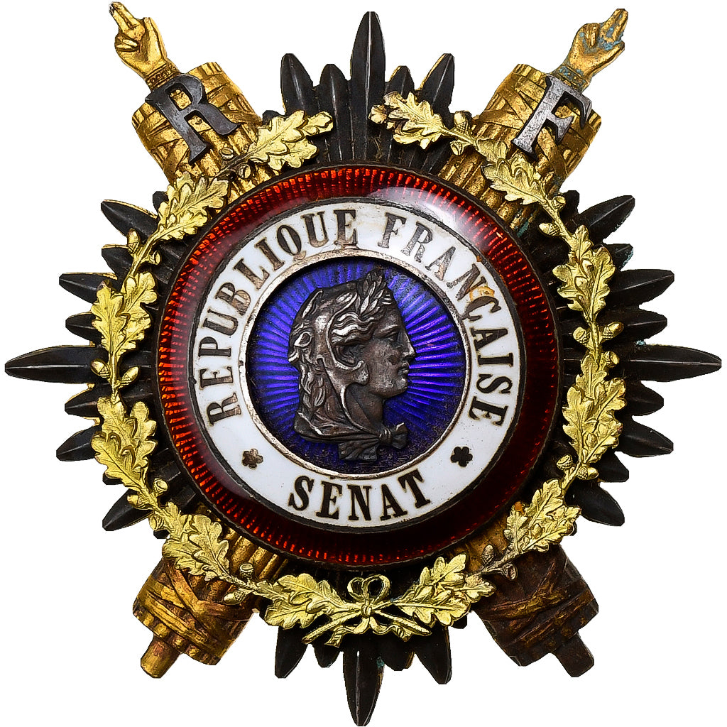 Frankreich, Sénat, Politic, Insigne, Excellent Quality, Gilt Metal, 75