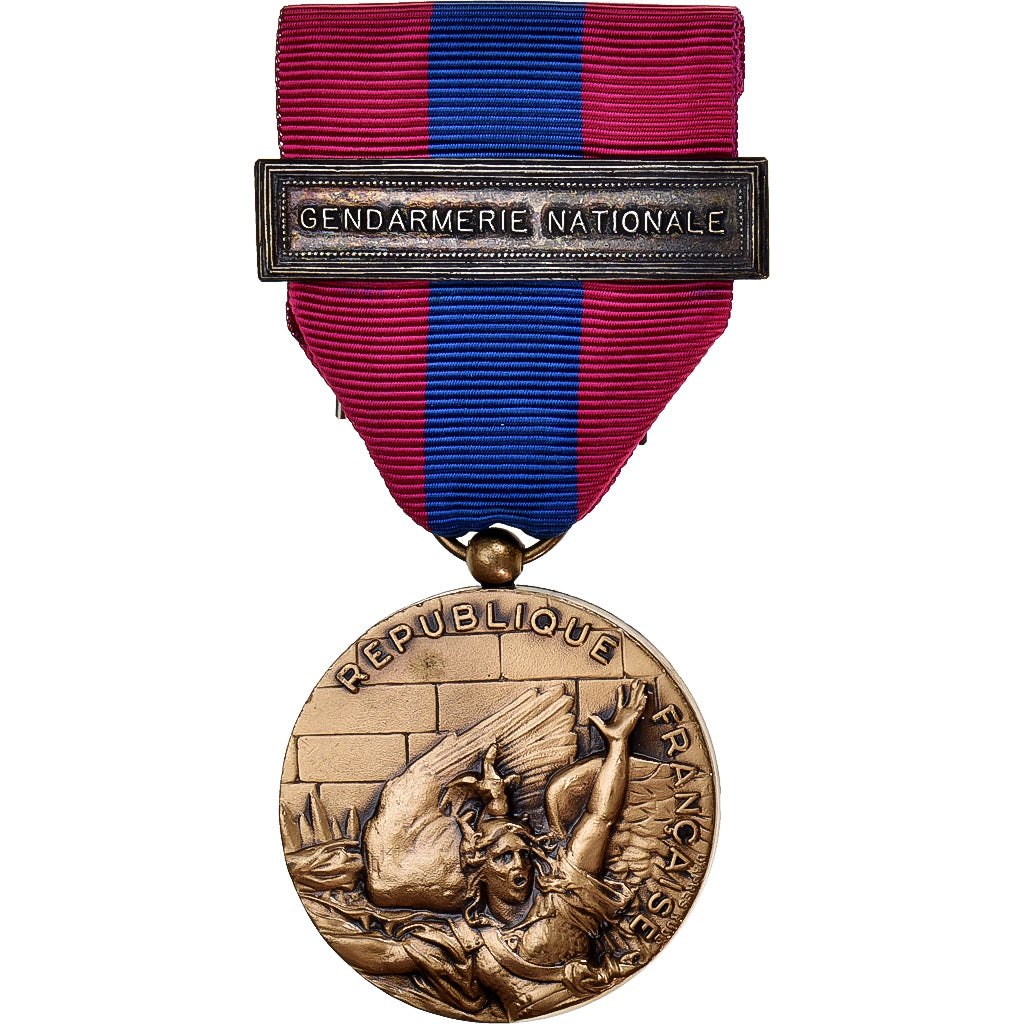 Francia, Gendarmerie Nationale, Défense, medalla, Sin circulación, Bronce, 35
