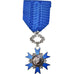 France, Ordre National du Mérite, Médaille, 1963, Non circulé, Argent, 38