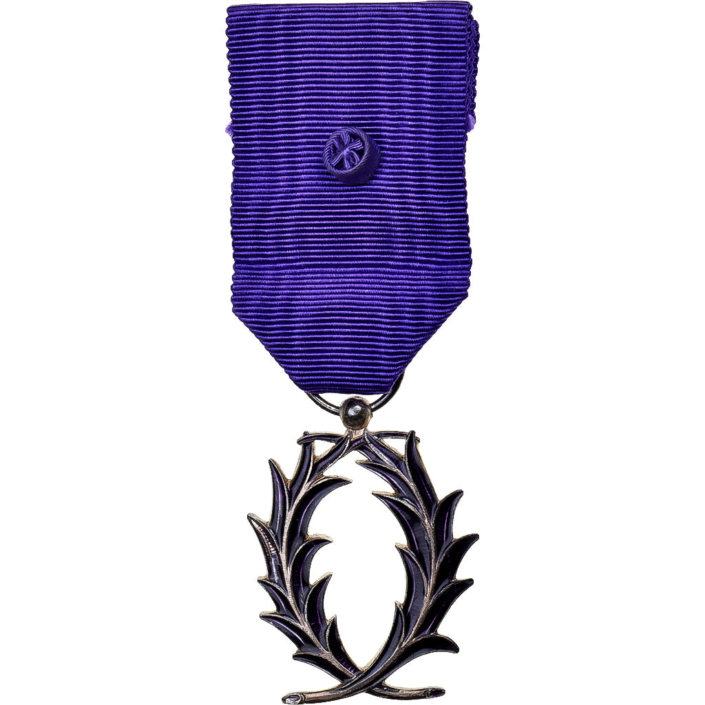 France, Ordre des Palmes Académiques, Medal, Excellent Quality, Silvered