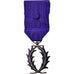 France, Ordre des Palmes Académiques, Medal, Excellent Quality, Silvered