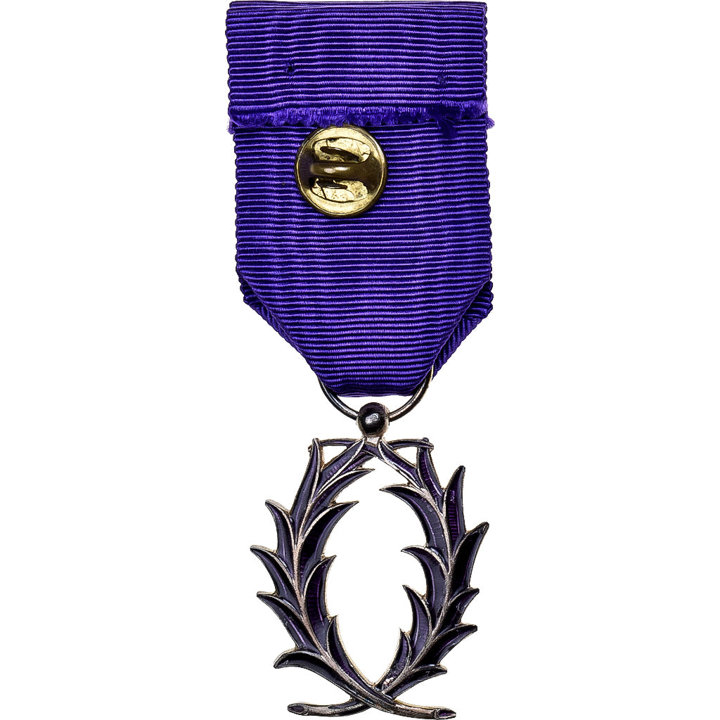 France, Ordre des Palmes Académiques, Medal, Excellent Quality, Silvered