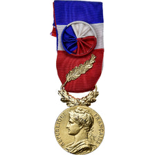 France, Médaille d'honneur du travail, Medal, 1975, Excellent Quality, Borrel