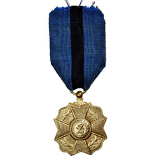 Belgio, Ordre de Léopold II, medaglia, Ottima qualità, Bronzo dorato, 38