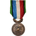 France, Société des vétérans des armées de terre et de mer, Médaille