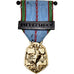 Francia, Libération de la France, WAR, medaglia, 1939-1945, Eccellente