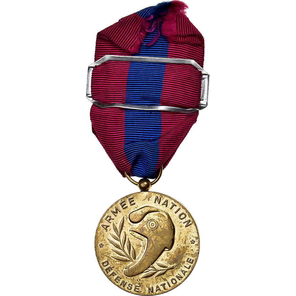 France, Défense Nationale, Infanterie, Medal, Excellent Quality, Bronze, 36