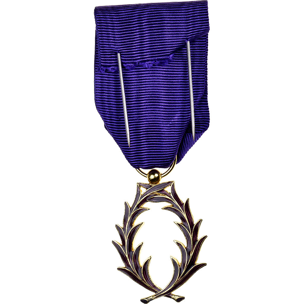 Francja, Palmes Académiques Officier, medal, Stan menniczy, Pokryty brązem, 38