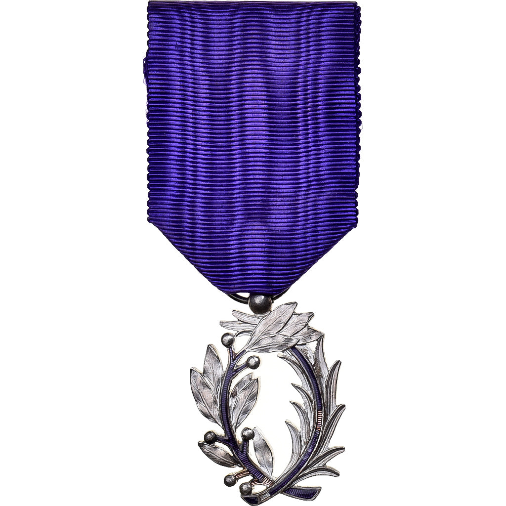 Frankrijk, Ordre des Palmes Académiques, Medaille, 1955, Heel goede staat