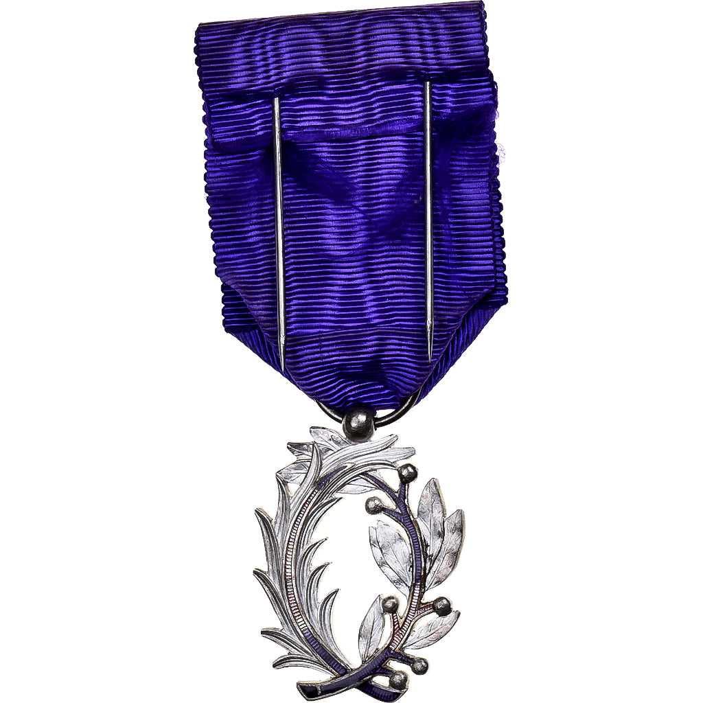 Frankrijk, Ordre des Palmes Académiques, Medaille, 1955, Heel goede staat