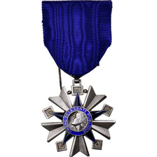 France, Ordre de la Santé Publique, Medal, Excellent Quality, Silvered bronze