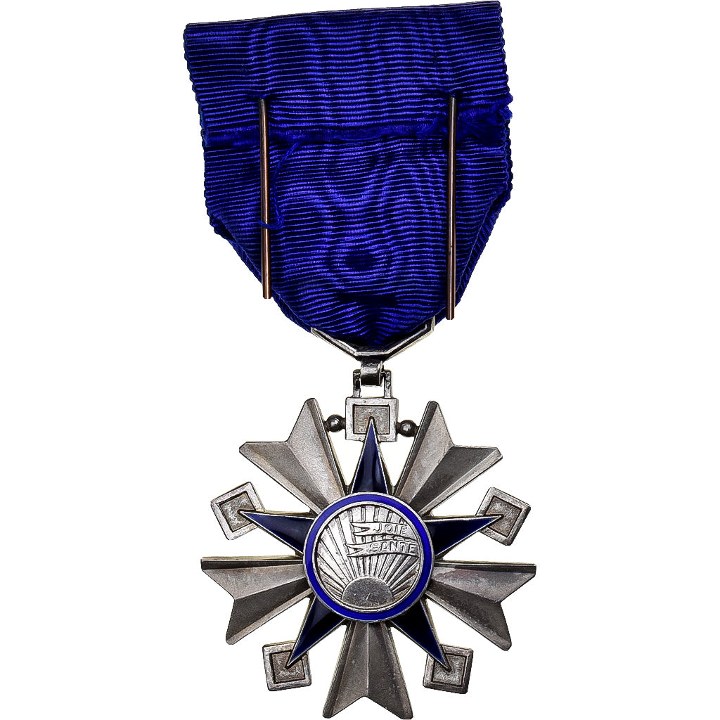 France, Ordre de la Santé Publique, Medal, Excellent Quality, Silvered bronze