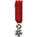 France, Légion d'Honneur, Troisième République, Médaille, Réduction