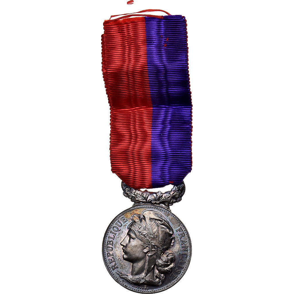 Frankrijk, Société des Sauveteurs d'Eure et Loir, Chartres, Medaille